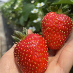 姫路ハートフル観光農園 - 