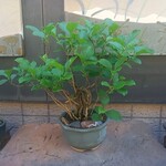 みかわ 是山居 - 