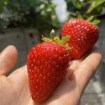 姫路ハートフル観光農園 - 