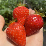 姫路ハートフル観光農園 - 