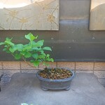 みかわ 是山居 - 