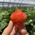 姫路ハートフル観光農園 - 