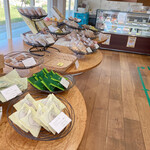 Blanca Tsu Swets Factory Ten