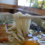 めぐみうどん - 