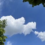 Gelateria Mucho Gusto - 手を伸ばせば掴めそうな白い雲が、