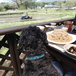 테우치 soba 카오리야 혼텐 - 테라스 좌석은 반려동물과 함께하기에 매우 유용합니다.