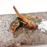 出羽屋 - 鰍の唐揚げ