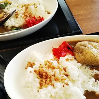 アーマ テラス_1