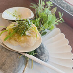 ダ　センプレ - ハマグリ