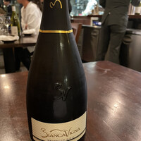 セルサルサーレ - 