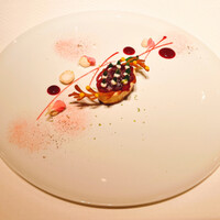 ジョンティ アッシュ - 