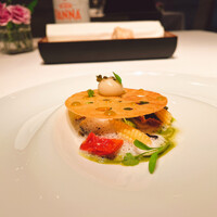 ジョンティ アッシュ - 