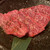 焼肉 小次郎 - 黒毛和牛ロース（1199円）