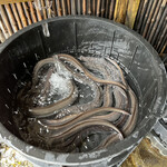 うなぎ料理 よし宗 - 