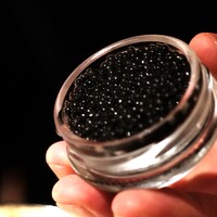 アピシウス - 宮崎産キャビアを丸ごと。