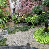 不動坂　菊地 - 