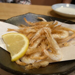 越前食房 酔ってけ家 - 