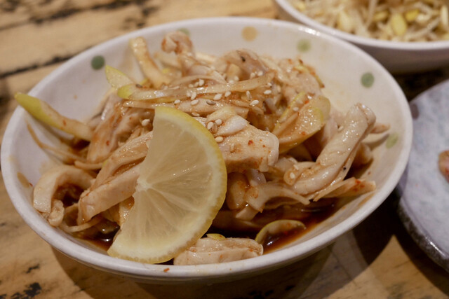 Shodai Yoshida photo 5