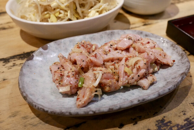 Shodai Yoshida photo 3