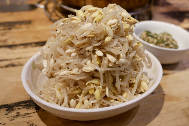 Shodai Yoshida photo