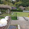 道の駅 どうし 特産品直売所