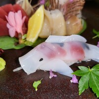 そば会席 立会川 吉田家 - お造り