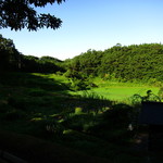 山みず木 - 山みず木さんの畑