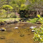Kiyomi Anookura - 目の前の庭園