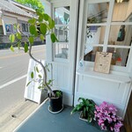 モック コーヒー - 