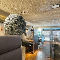 biodinamico - 