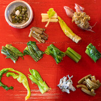 たでの葉 - 2022.5 山菜の盛り合わせ