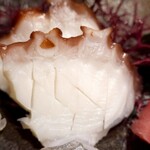 鎌倉 長谷 鮨山もと - 