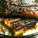 イチビキ - 特上うな丼UP