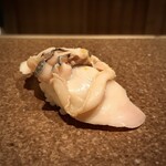 寿司つばさ - 蛤