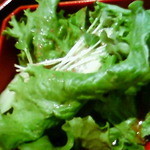 京都牛焼肉 すみれ家 - サラダ