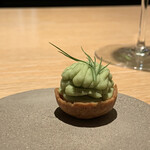 マンサルヴァ - 