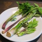 サルキッチン - 