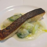 サルキッチン - 