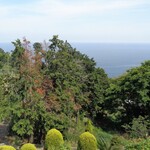 れんが屋 - 相模湾が見える