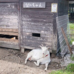 カマ喜ri - やぎのなっちゃん