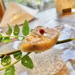 Terroir愛と胃袋 - 