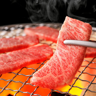 All-you-can-eat carefully selected Yakiniku (Grilled meat)!