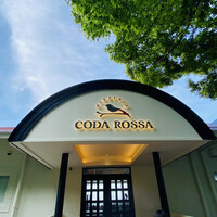 CODA ROSSA -  CODA ROSSA -