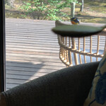 mi-shang - 在菊芋的勺子上放了一只小鸟的黄鳍鲷