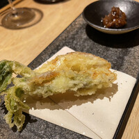 霜止出苗 - 