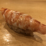 鮨　仙八 - 天草の天然車海老