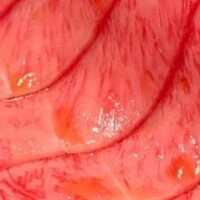 炭火焼肉 ふちおか - 