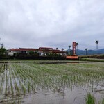忠太郎茶屋 - のどかな風景ですね。
