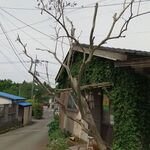 グルヌイユ - 外観1