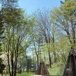 北海道ホテル - この木々たちが静粛を醸し出す